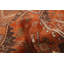 Tapis cuivre Melis 3 pi 9 po x 5 pi 11 po