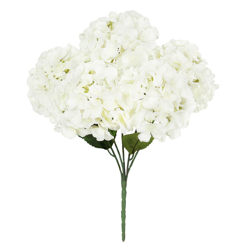 Hortensia de luxe, Blanc, crème