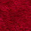 Tapis rouge jiang-1269193023-1320735885