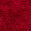 Tapis rouge jiang-1947890946