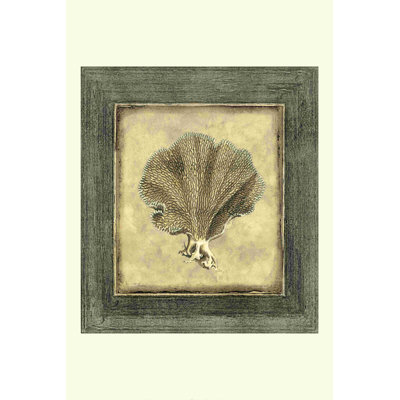 " Mini Exotic Coral VI (U) " by Vision Studio
