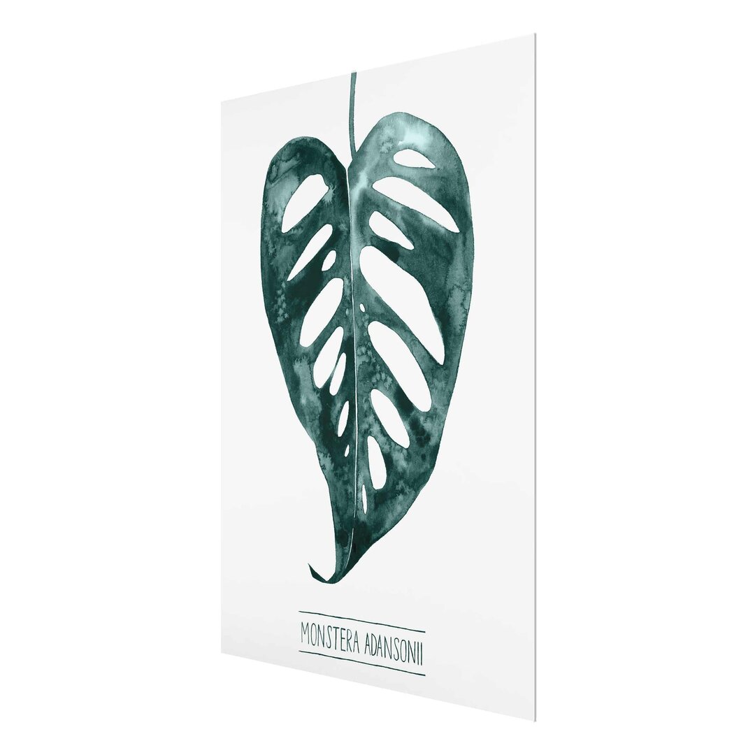 Glasbild Smaragd Monstera Adansonii