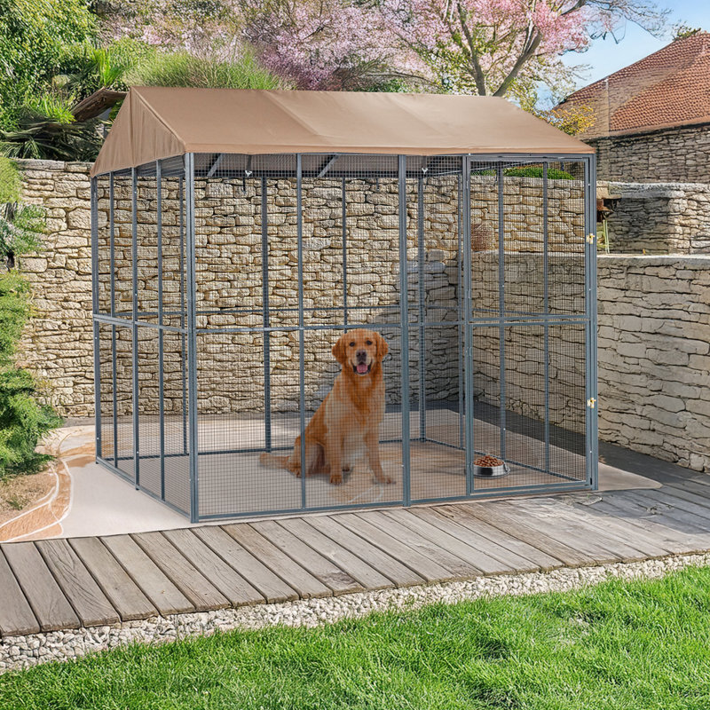 Cage universelle résistante aux intempéries Draupadi, H 96 po x l 96 po x P 96 po
