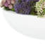 Assorted Sedum and Succulent Arrangement in Round Planter