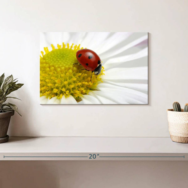 Crowle Ladybug On Chamomile, 8" H x 12" W