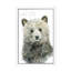 Forest Fur Baby Bear by Carol Robinson - Floater Frame Painting on Canvas-739776345-739776346