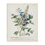 «Botanical Plant Illustration Flowers and Leaves Vintage», impression-734867531-734867541