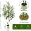 Plant-1040482888