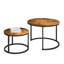 Anthime Coffee Table