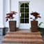 Planter Box-1384597193
