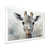 White Single Picture Framed