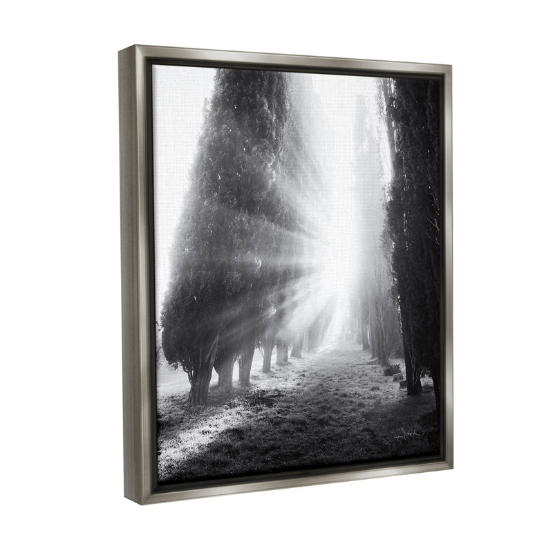 "Sun Rays & Hedge Grove Floater Frame" par Aledanda sur toile, Cadre flottant gris lustré, H 21 po x l 17 po