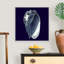 « Indigo shells V » par vision studio-impression-567973459-567973487
