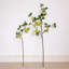 Branche de pomme verte artificielle avec feuilles-349688459