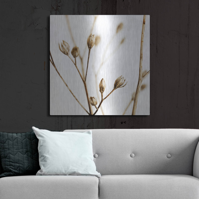 «Little Sepia Flowers» par Tom Quartermaine, art mural en métal, H 36 po x l 36 po