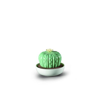 Astrophytum cactus de la nuit qui approche l’odeur
