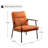 Fabric Upholstered Accent Armchair With Metal Frame And Wooden Armrests-119338414