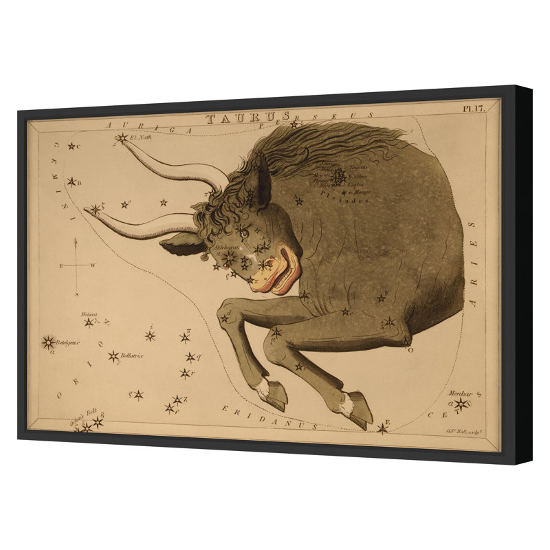 Taurus Print by Grand Archives, 32" H x 45" W, Black Framed