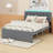 Upholstered Panel Bed