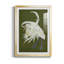 Heron Plumage II - reproduction de cadre photo-2023945382-2023945383