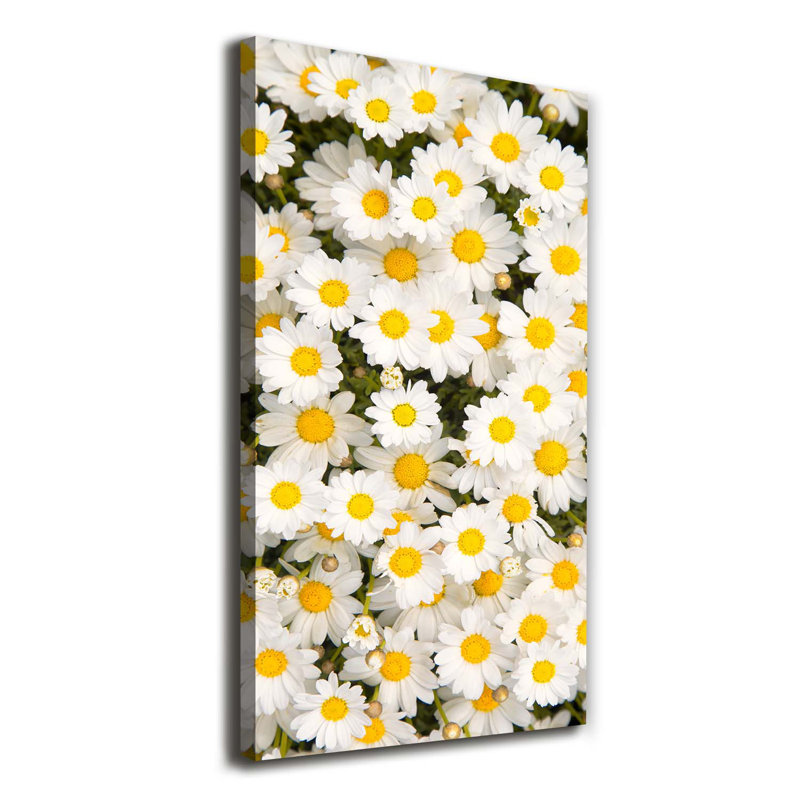 Daisy Flowers - Wrapped Canvas Print