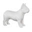 Animals French Bulldog-49609686