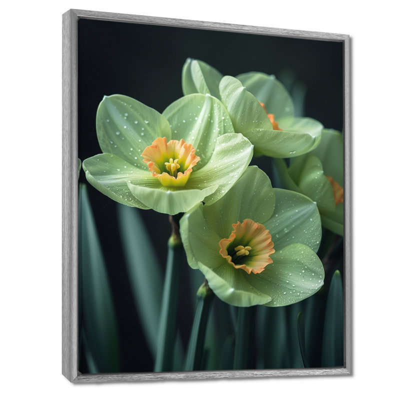 Monochromes jardin glamour jonquilles I - jonquilles murales salon, Encadrement argenté, H 12 po x l 20 po