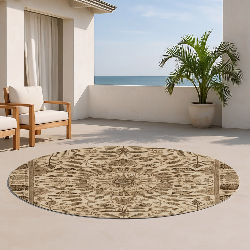 Nature Brown Indoor and Outdoor Area Rug, Round 5'