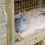 Weather Resistant Rabbit Hutch