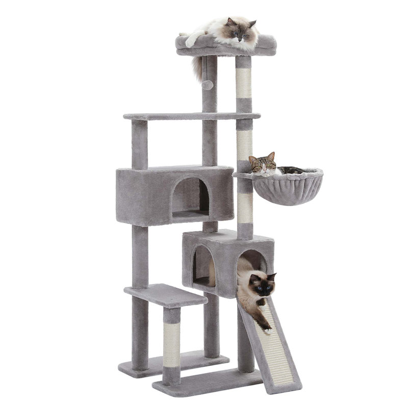 Grand arbre à chat, Gris