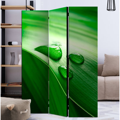 Nerseh 172cm H Folding Room Divider