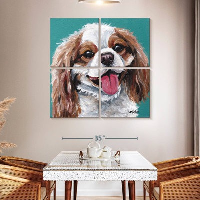 Brampt Sunny King Charles Spaniel