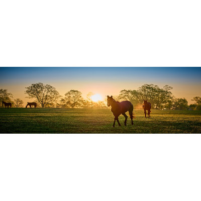 «Golden Sunrise Grazing - Tranquil Horse Pasture», art sur toile