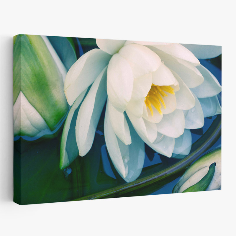«Plants, Flowers, Calico», impression sur demande, H 32 po x l 48 po