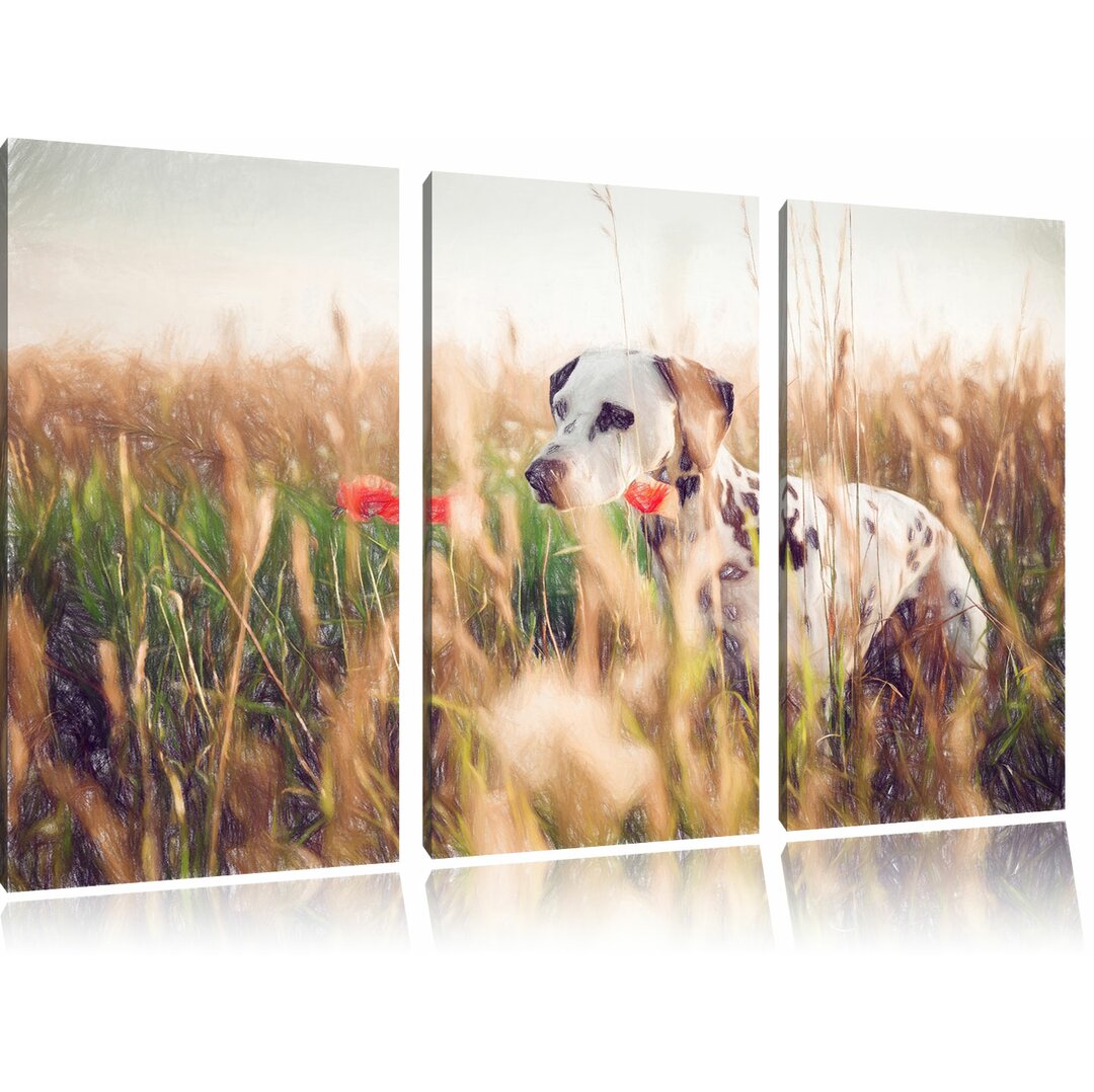 3-tlg. Leinwandbilder-Set „Neugieriger Hund im Feld“, Grafikdruck