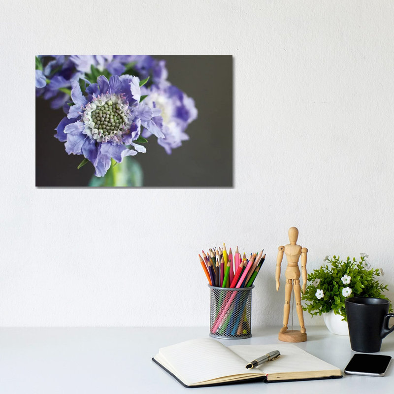 Purple Scabiosa by Lupen Grainne - Wrapped Canvas Print, 20.32 cm H x 30.48 cm W