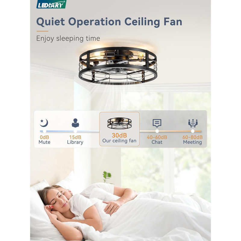 Cage Ceiling Fan