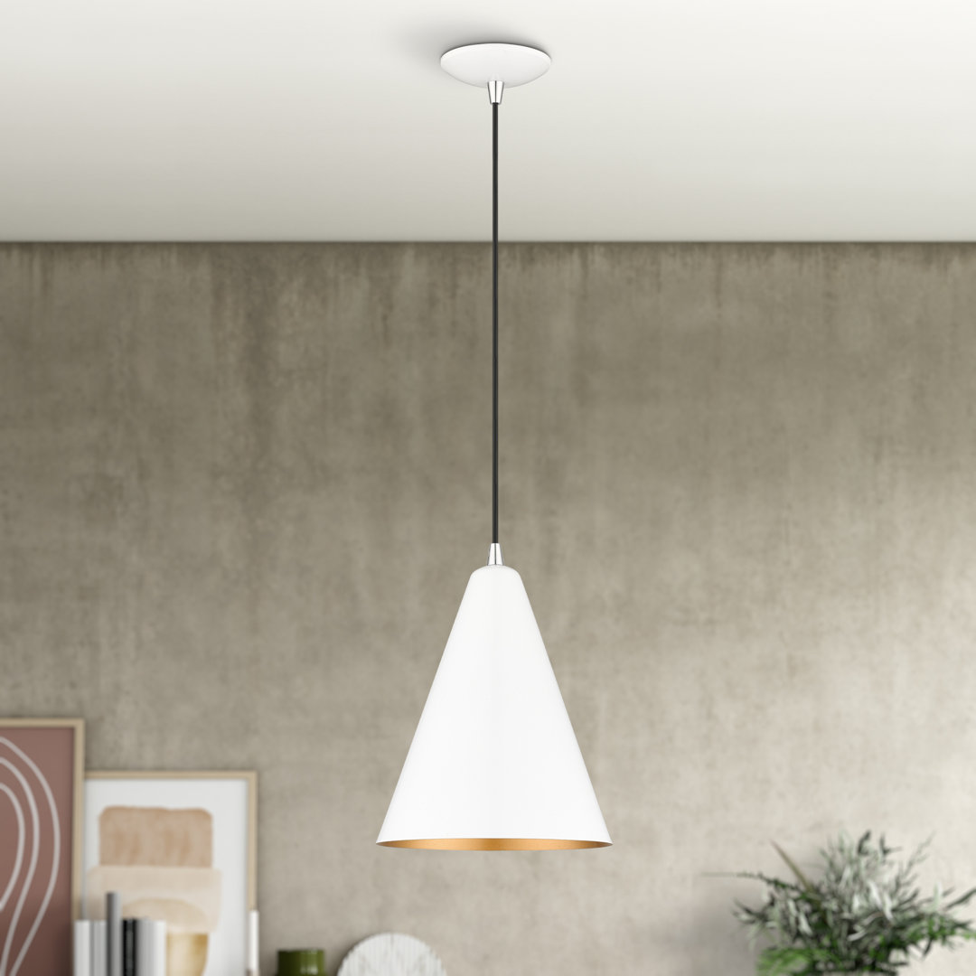 Drewie 1 - Light Cone Pendant Wrought Studio™