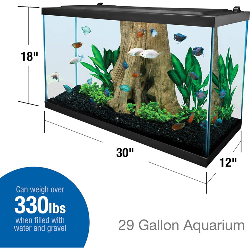 Glass Aquarium, Rectangular Fish Tank, Assorted Colour, 29 Gallon (18" H x 30" W x 12" D)