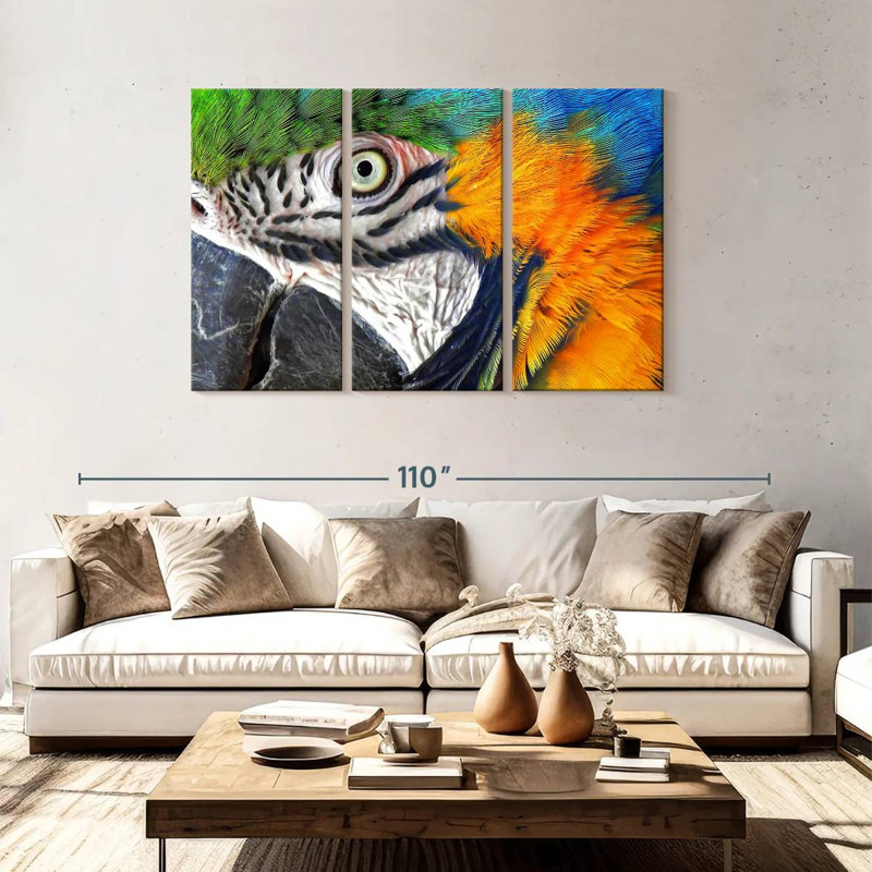 Brampt Macaw Eye, 48" H x 74" W