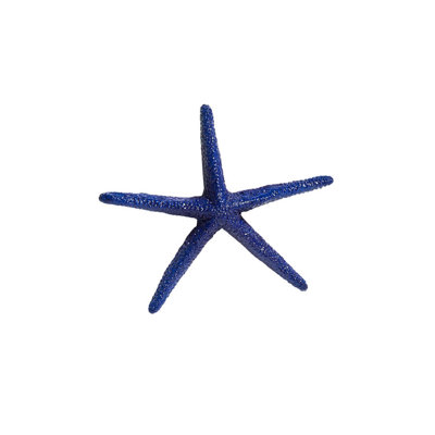 Large Starfish