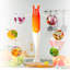 Geepas 2 Speed Hand Immersion Blender