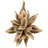 7'' Plant-13289441