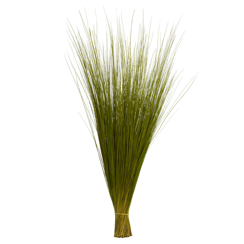 Faux Bright Grass Grass Plant Preserved