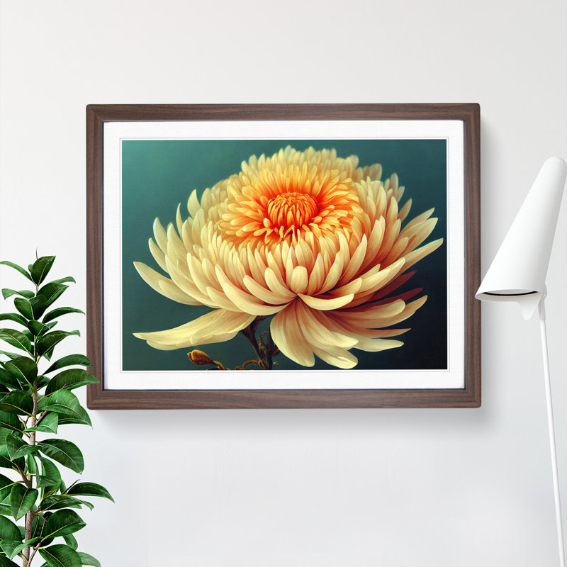 Angelical Chrysanthemum Flower - Framed Print, Walnut