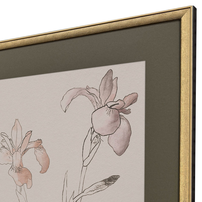 Delicate Sketch II Framed Art