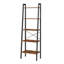 Westhought 172cm H x 56cm W Steel Ladder Bookcase-98237405
