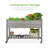 Shepard Elevated Planter-1589028362