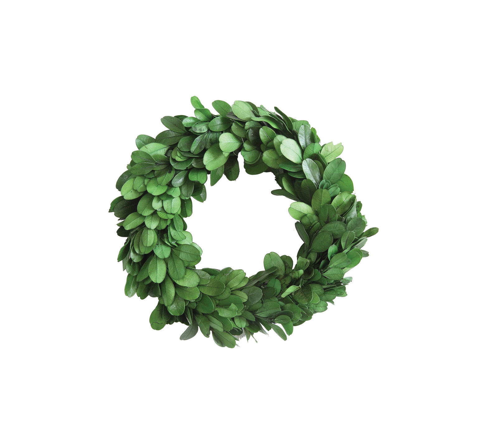 Preserved Boxwood Wreath, 9.75" W x 9.75" D
