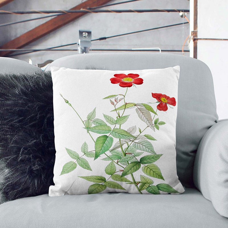 Square Throw Cushion, 55cm H x 55cm W x 20cm D